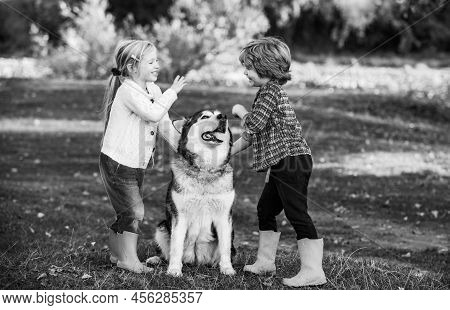 Smiling Little Kids With Dog Walking Over Autumn Field Background. Children Lovingly Embraces His Pe