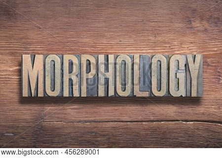 Morphology Word Combined On Vintage Varnished Wooden Surface