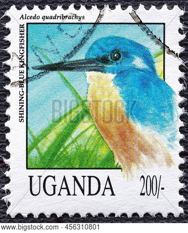 Uganda - Circa 1992: Post Stamp 50 Ugandan Shillings Printed By Republic Of Uganda, Shows Shining-bl