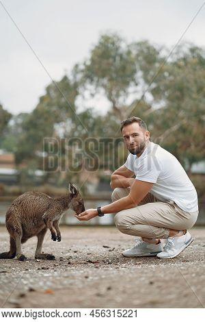 Man In The Reserve Is Playing With A Kangaroo