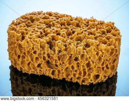 Yellow porous sponge for abstract decor effect and paints the wall