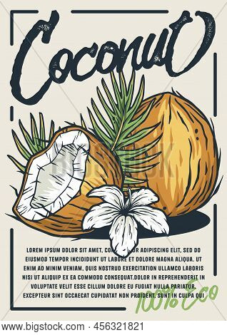 Coconut Poster. Summer Exoic Fruit And Nuts With Palm Leaves Design