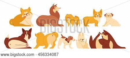 Cute Cartoon Dogs Set. Funny Adorable Different Breads Of Puppies.