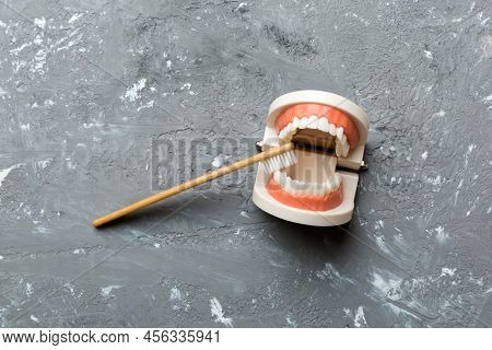 Closeup Model Of A Human Jaw With White Teeth And Toothbrush. Dentistry Conceptual Photo. Prosthetic