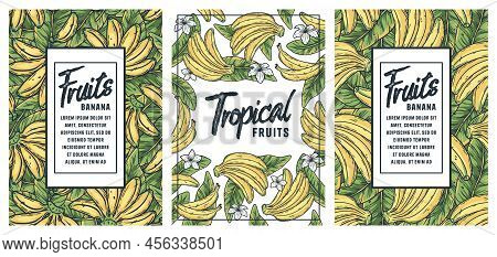 Banana Poster. Summer Exoic Fruit And Nuts With Palm Leaves Design
