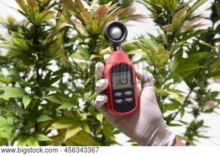 Medical Professional Uses A Thermometer And A Hygrometer To Show The Temperature And Humidity Next T