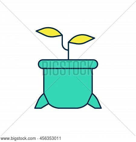 Filled Outline Plant In Pot Icon Isolated On White Background. Plant Growing In A Pot. Potted Plant 