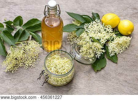 Classic Elderflower Cordial Recipe With Wild Foraged Elderflowers And Fresh Lemon Juice. The Easy-ma