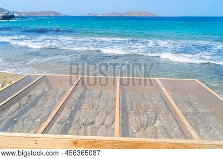 Sundried Fish Macrel, Gouna - Typical Dish Of Paros Island, Greece