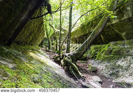 Ruins Of Building In The Wolfs Lair. Former War Headquarters Of Adolf Hitler In Poland