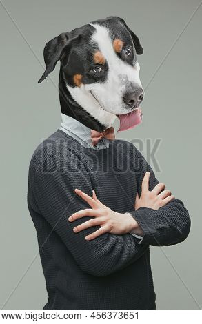 Contemporary Artwork, Conceptual Artcollage. Man Headed By Dog Head Isolated On Grey Background. Fas