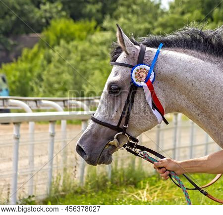 Pyatigorsk,russia-june 12,2022:winner Of The Race For The Prize Of The Breeders' Cup Of Arabian Hors