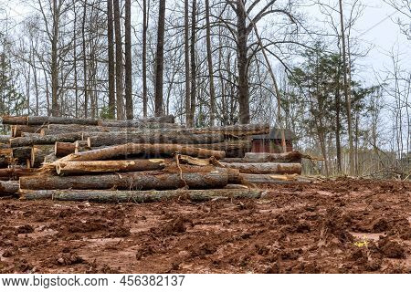 Trees That Have Been Felled Cut Into Logs To Clear Land For New Development In Construction Site