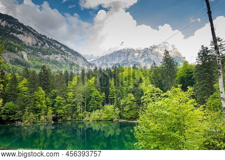 Magnificent Blausee Among The Forest And Mountains