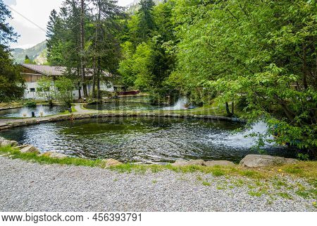 Trout Farm In The Mountains. Lots Of Trout, Clear Water