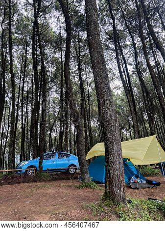 The Atmosphere Around The Tent Site Of The Datar Pinus Park. Lots Of Traveller Are Camping At Datar