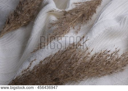 Soft White Embossed Striped Fabric Or Plaid Close-up With Decorative Dry Herbs, Pampas , Reed Grass 