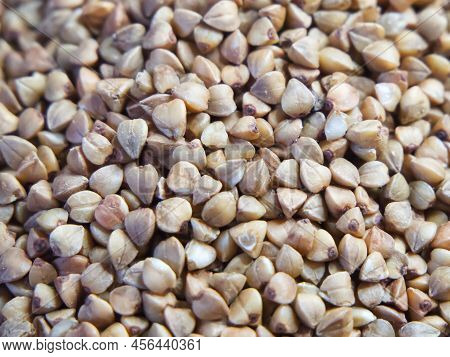 Organic Buckwheat Groats Macro Background. Roasted Dry Buckwheat Grains Texture Close-up. Wholegrain