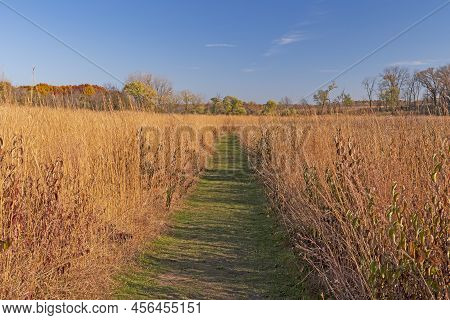 Path Through The Prairie Grasses In The Fall In The Crabtree Nature Preserve In Illinois