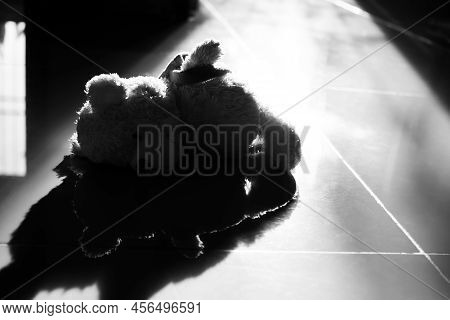 Alone Teddy Bear Sleep On Floor With Overlight. Black And White. Cute Toy Doll In Room With Free  Sp