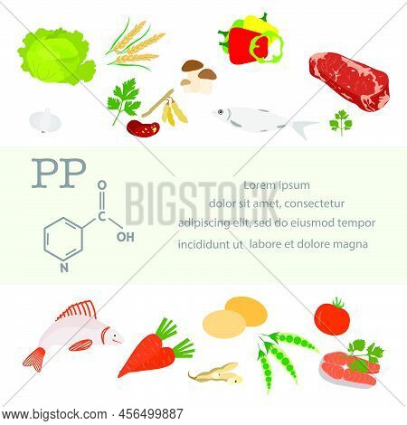 Vector Illustration Vitamin Pp Sources. Healthy Food Enriched With Vitamins Essential For Protein Me