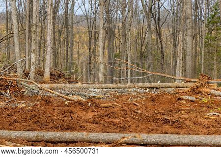 Land Cleared In Forest For New Development Home Construction In The Trees