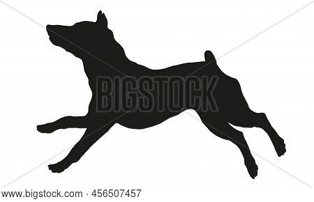 Black Dog Silhouette. Running And Jumping Zwergpinscher Puppy. Miniature Pinscher Or King Of The Toy