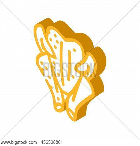 Broiler Chicken Carcass Isometric Icon Vector. Broiler Chicken Carcass Sign. Isolated Symbol Illustr