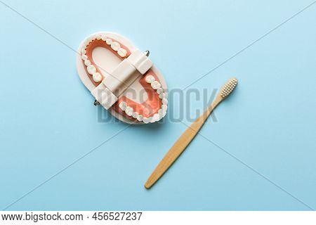 Closeup Model Of A Human Jaw With White Teeth And Toothbrush. Dentistry Conceptual Photo. Prosthetic