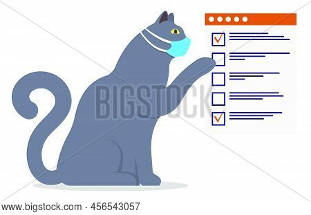Clever, Wise Gray Cat In Medical Mask Explains The Rules Of Hygiene. Silhouette Of Domestic Cat, Pet