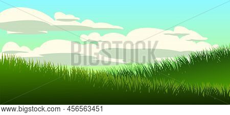 Grass. Nature Rural Landscape. Pasture Overgrown. Overgrown Dense Lawn. Vector