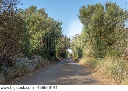 Rural Road In The Interior Of The Island Of Mallorca, Spain, For Hiking Or Cycling
