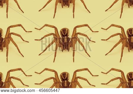 Wolf Spider Repeating Seamless Pattern. Scarey Critters On Yellow Background. Close Up View.