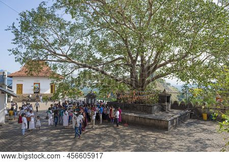 Dambulla, Sri Lanka - February 08, 2020: At The Sacred Bodhi Tree On The Grounds Of The Ancient Budd
