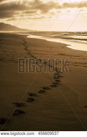 Awesome Footprint And Sun Light Beautiful  Nature Landscape On The Coastline And Sandy Beach With Mo