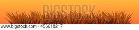 Grass. Nature Rural Landscape. Pasture Overgrown. Autumn View. Overgrown Dense Lawn. Vector
