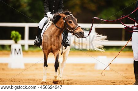 A Child Is Sitting Astride A Saddle On A Piebald Pony, Which Is Led By A Horse Breeder Along A Sandy