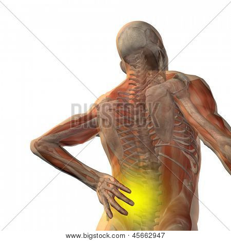 Koncepcja wysokiej rozdzielczości lub pojęciowy 3d mężczyzna lub człowieka anatomia człowieka na białym tle na białym tle jako m