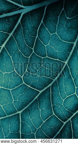 Plant Leaf Closeup. Mosaic Pattern Of  Cells And Veins. Blue-green Dark Mobile Phone Wallpaper. Abst
