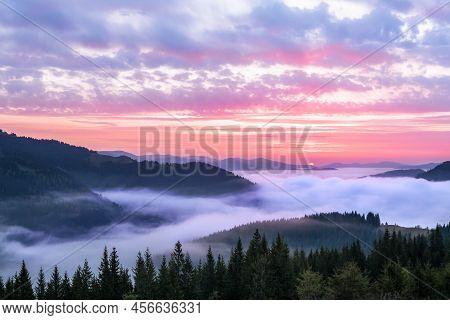Pink Sunrise In Mountain With Fog. Black Forest In Fog