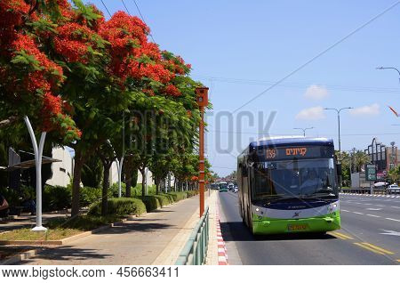 Tel Aviv. Israel. June 2022. Green Passenger Bus Close-up. Israeli Public Transport. Flowering Delon