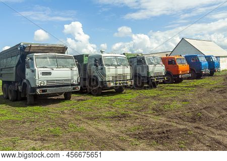 Agricultural Machinery, Tractor And Farmer In Agricultural Fields Of Wheat And Rapeseed And Dramatic