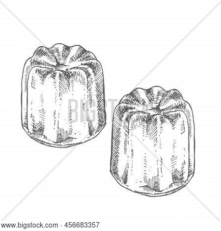 Hand Drawn Vector Fresh French Cannele Illustration