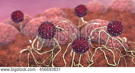 Microscopic Closeup Of Growing Mildew - 3d Illustration
