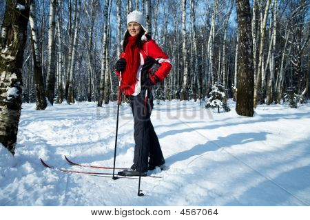 Ski dans la forêt