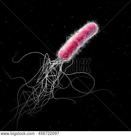 Single Red Colored Multiple Antibiotic Resistant Pseudomonas Aeruginosa Bacterium - 3d Illustration