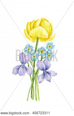 Watercolor Drawing Bouquet Of Spring Flowers, Yellow Globeflower, Violets And Forget-me-not Isolated