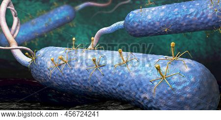 Bacteriophage Or Phage Virus Attacking And Infecting A Bacteria - 3d Illustration