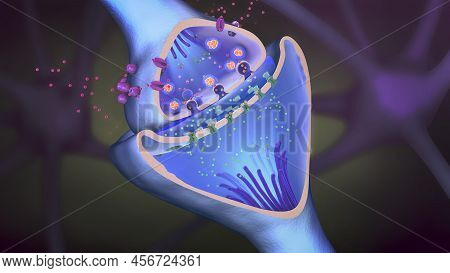 Scientific Function Of A Synapse Or Neuronal Connection With A Nerve Cell -  3d Illustration