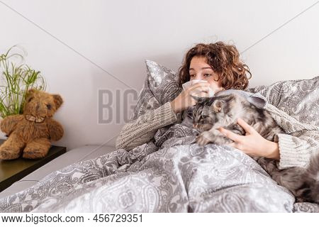 Young Woman Lies In Bed In Warm Clothes, Covered With Blanket, Blows Nose, Fluffy Gray Domestic Cat 